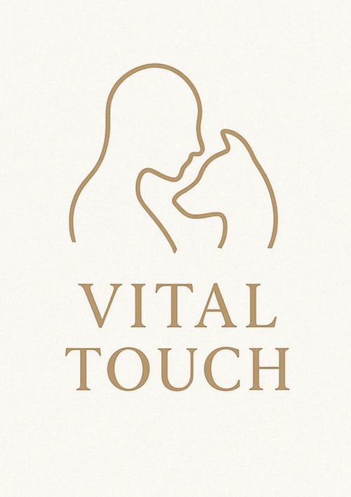 Dog receiving canine remedial massage therapy from Vital Touch Animal Therapy, mobile dog massage service from Sale to Maroondah